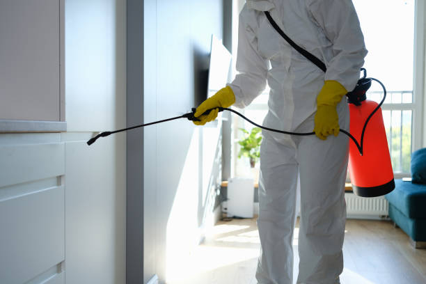 Best Commercial Mold Removal  in Wickliffe, OH