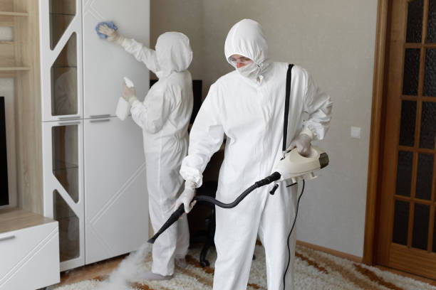 Office Mold Removal Services in Wickliffe, OH